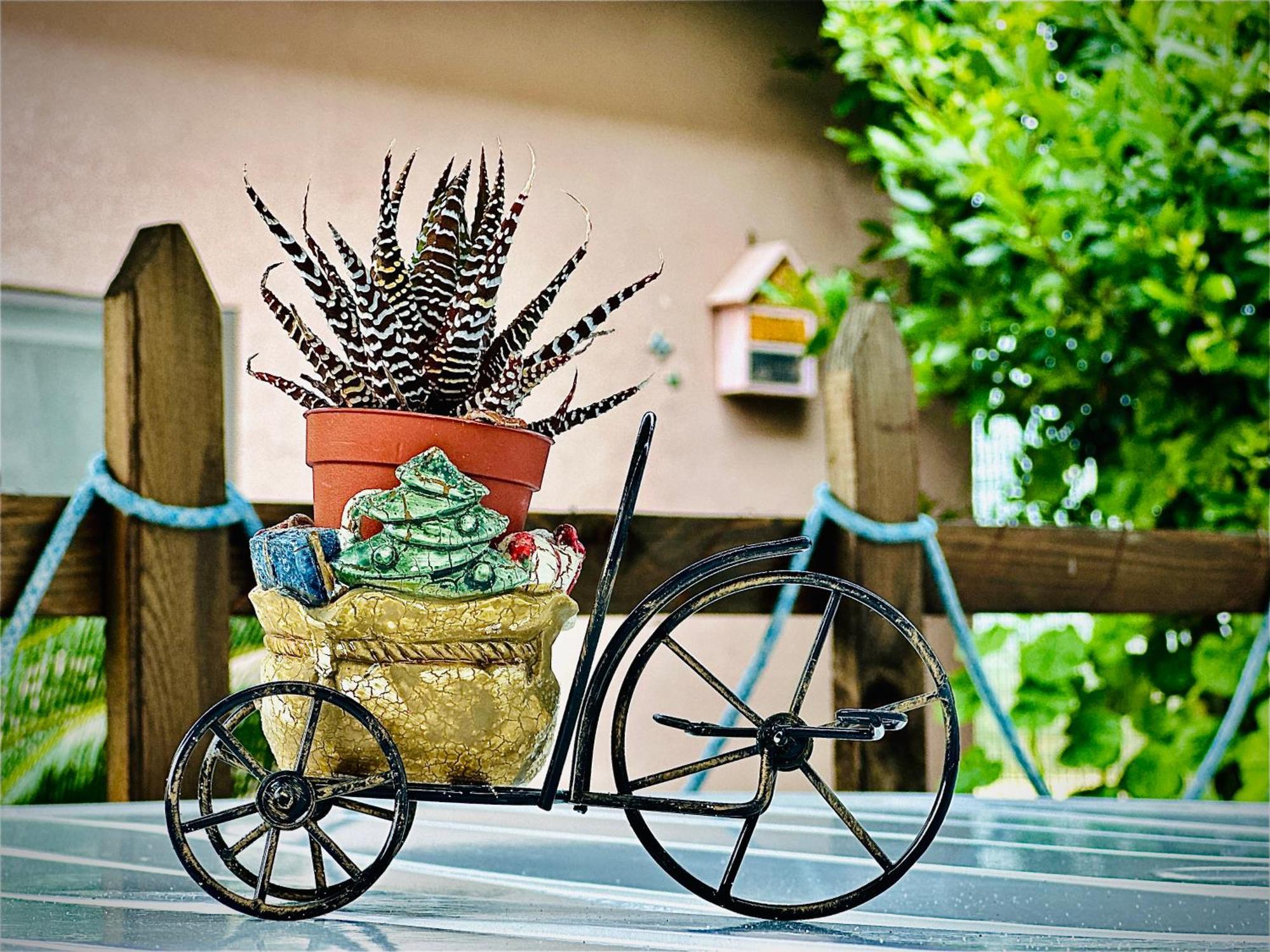 Far West Hotel Ginosa Ngoại thất bức ảnh